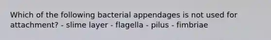 Which of the following bacterial appendages is not used for attachment? - slime layer - flagella - pilus - fimbriae