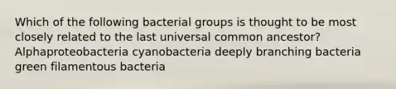 Which of the following bacterial groups is thought to be most closely related to the last universal common ancestor? Alphaproteobacteria cyanobacteria deeply branching bacteria green filamentous bacteria