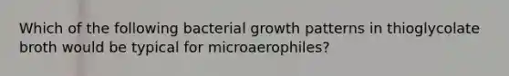 Which of the following bacterial growth patterns in thioglycolate broth would be typical for microaerophiles?