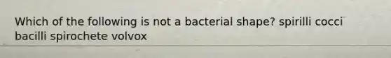 Which of the following is not a bacterial shape? spirilli cocci bacilli spirochete volvox