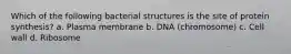 Which of the following bacterial structures is the site of protein synthesis? a. Plasma membrane b. DNA (chromosome) c. Cell wall d. Ribosome