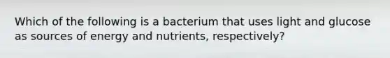 Which of the following is a bacterium that uses light and glucose as sources of energy and nutrients, respectively?