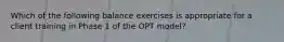 Which of the following balance exercises is appropriate for a client training in Phase 1 of the OPT model?