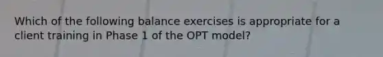 Which of the following balance exercises is appropriate for a client training in Phase 1 of the OPT model?