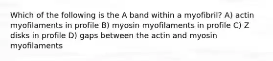 Which of the following is the A band within a myofibril? A) actin myofilaments in profile B) myosin myofilaments in profile C) Z disks in profile D) gaps between the actin and myosin myofilaments