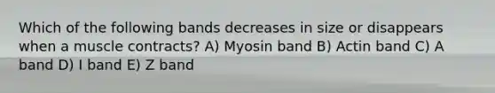 Which of the following bands decreases in size or disappears when a muscle contracts? A) Myosin band B) Actin band C) A band D) I band E) Z band