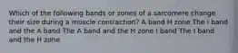 Which of the following bands or zones of a sarcomere change their size during a muscle contraction? A band H zone The I band and the A band The A band and the H zone I band The I band and the H zone