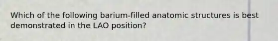 Which of the following barium-filled anatomic structures is best demonstrated in the LAO position?