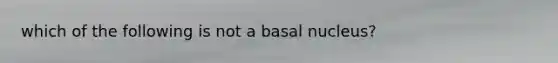 which of the following is not a basal nucleus?