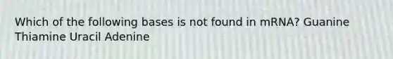 Which of the following bases is not found in mRNA? Guanine Thiamine Uracil Adenine