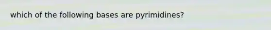 which of the following bases are pyrimidines?