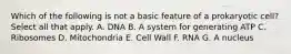 Which of the following is not a basic feature of a prokaryotic cell? Select all that apply. A. DNA B. A system for generating ATP C. Ribosomes D. Mitochondria E. Cell Wall F. RNA G. A nucleus