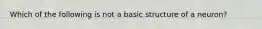 Which of the following is not a basic structure of a neuron?