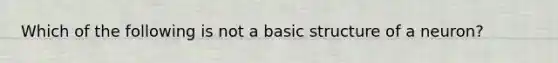 Which of the following is not a basic structure of a neuron?