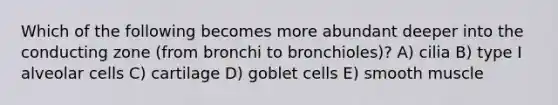 Which of the following becomes more abundant deeper into the conducting zone (from bronchi to bronchioles)? A) cilia B) type I alveolar cells C) cartilage D) goblet cells E) smooth muscle