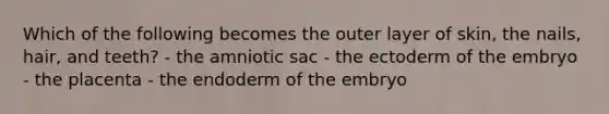 Which of the following becomes the outer layer of skin, the nails, hair, and teeth? - the amniotic sac - the ectoderm of the embryo - the placenta - the endoderm of the embryo