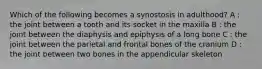 Which of the following becomes a synostosis in adulthood? A : the joint between a tooth and its socket in the maxilla B : the joint between the diaphysis and epiphysis of a long bone C : the joint between the parietal and frontal bones of the cranium D : the joint between two bones in the appendicular skeleton