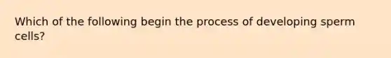 Which of the following begin the process of developing sperm cells?