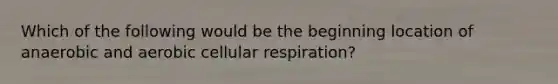 Which of the following would be the beginning location of anaerobic and aerobic cellular respiration?