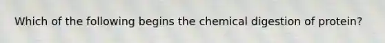 Which of the following begins the chemical digestion of protein?