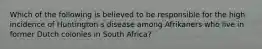 Which of the following is believed to be responsible for the high incidence of Huntington s disease among Afrikaners who live in former Dutch colonies in South Africa?