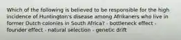 Which of the following is believed to be responsible for the high incidence of Huntington's disease among Afrikaners who live in former Dutch colonies in South Africa? - bottleneck effect - founder effect - natural selection - genetic drift