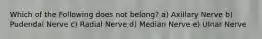 Which of the Following does not belong? a) Axillary Nerve b) Pudendal Nerve c) Radial Nerve d) Median Nerve e) Ulnar Nerve
