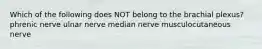 Which of the following does NOT belong to the brachial plexus? phrenic nerve ulnar nerve median nerve musculocutaneous nerve