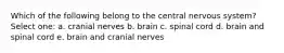 Which of the following belong to the central nervous system? Select one: a. cranial nerves b. brain c. spinal cord d. brain and spinal cord e. brain and cranial nerves