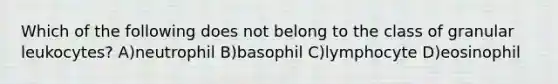 Which of the following does not belong to the class of granular leukocytes? A)neutrophil B)basophil C)lymphocyte D)eosinophil