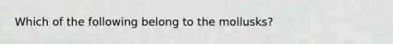 Which of the following belong to the mollusks?