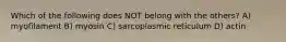 Which of the following does NOT belong with the others? A) myofilament B) myosin C) sarcoplasmic reticulum D) actin