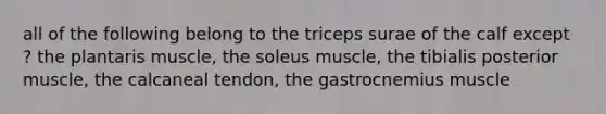 all of the following belong to the triceps surae of the calf except ? the plantaris muscle, the soleus muscle, the tibialis posterior muscle, the calcaneal tendon, the gastrocnemius muscle