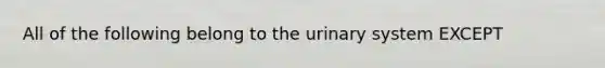 All of the following belong to the urinary system EXCEPT