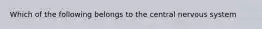 Which of the following belongs to the central nervous system