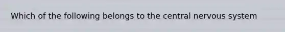 Which of the following belongs to the central nervous system