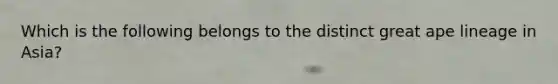 Which is the following belongs to the distinct great ape lineage in Asia?
