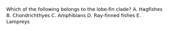 Which of the following belongs to the lobe‐fin clade? A. Hagfishes B. Chondrichthyes C. Amphibians D. Ray‐finned fishes E. Lampreys