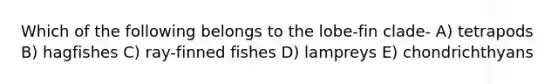 Which of the following belongs to the lobe-fin clade- A) tetrapods B) hagfishes C) ray-finned fishes D) lampreys E) chondrichthyans