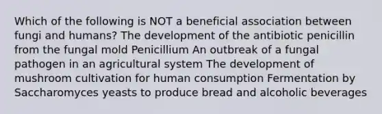 Which of the following is NOT a beneficial association between fungi and humans? The development of the antibiotic penicillin from the fungal mold Penicillium An outbreak of a fungal pathogen in an agricultural system The development of mushroom cultivation for human consumption Fermentation by Saccharomyces yeasts to produce bread and alcoholic beverages