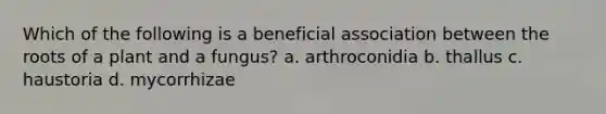 Which of the following is a beneficial association between the roots of a plant and a fungus? a. arthroconidia b. thallus c. haustoria d. mycorrhizae