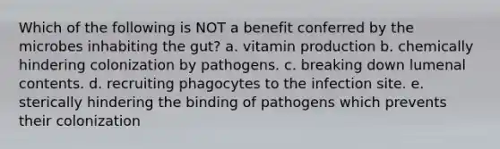 Which of the following is NOT a benefit conferred by the microbes inhabiting the gut? a. vitamin production b. chemically hindering colonization by pathogens. c. breaking down lumenal contents. d. recruiting phagocytes to the infection site. e. sterically hindering the binding of pathogens which prevents their colonization