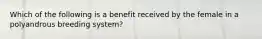 Which of the following is a benefit received by the female in a polyandrous breeding system?