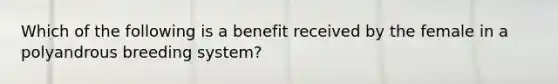 Which of the following is a benefit received by the female in a polyandrous breeding system?