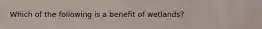 Which of the following is a benefit of wetlands?