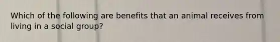 Which of the following are benefits that an animal receives from living in a social group?