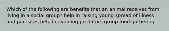 Which of the following are benefits that an animal receives from living in a social group? help in raising young spread of illness and parasites help in avoiding predators group food gathering