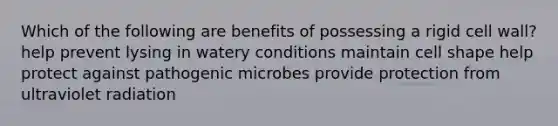 Which of the following are benefits of possessing a rigid cell wall? help prevent lysing in watery conditions maintain cell shape help protect against pathogenic microbes provide protection from ultraviolet radiation