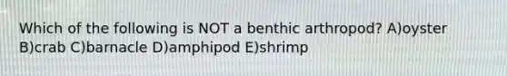 Which of the following is NOT a benthic arthropod? A)oyster B)crab C)barnacle D)amphipod E)shrimp