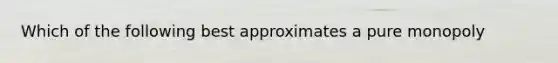 Which of the following best approximates a pure monopoly